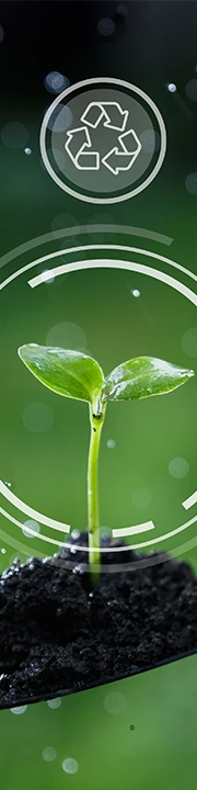 TL Landing Page Img2